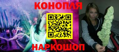 крисы Бийск