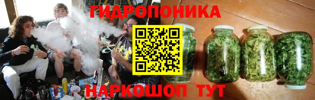 Каннабис конопля Камышин